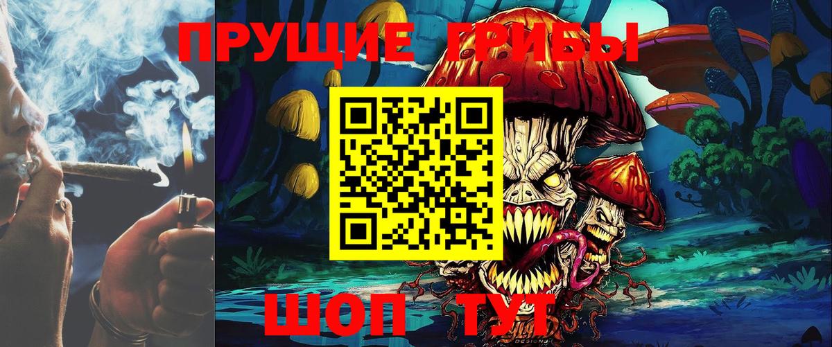 Псилоцибиновые грибы Psilocybe Чапаевск